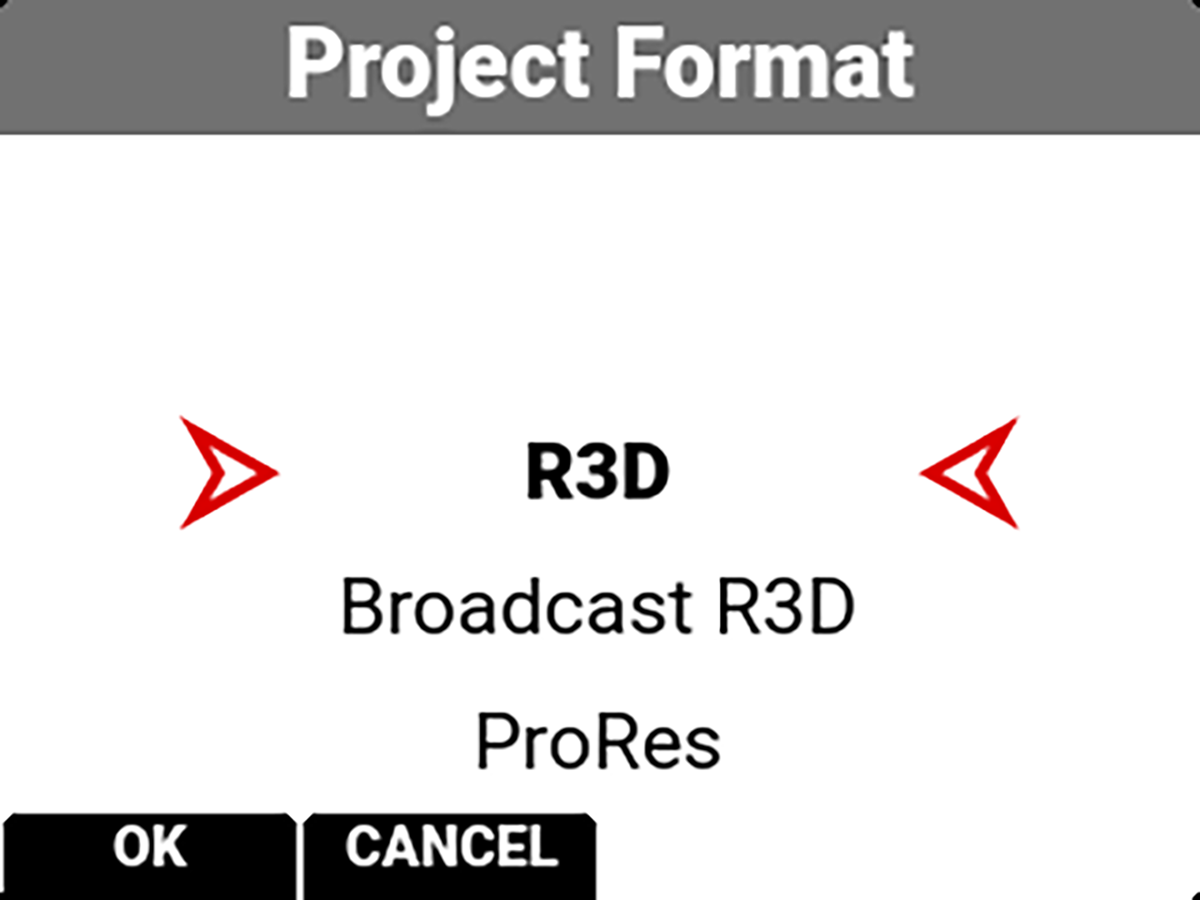 Project Format